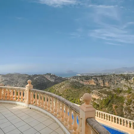 Delphinium Villa